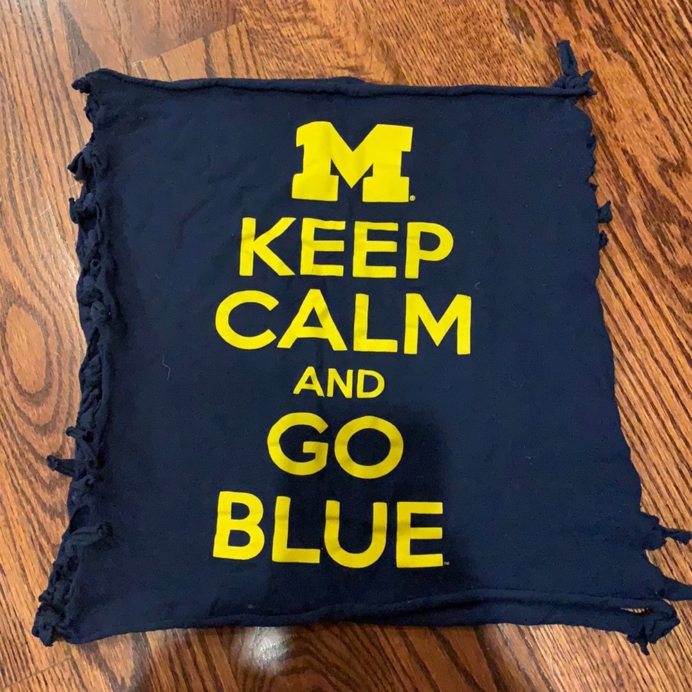 Michigan Tube Top